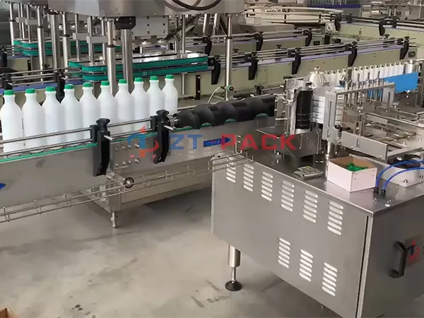 Glue Labeling Machine